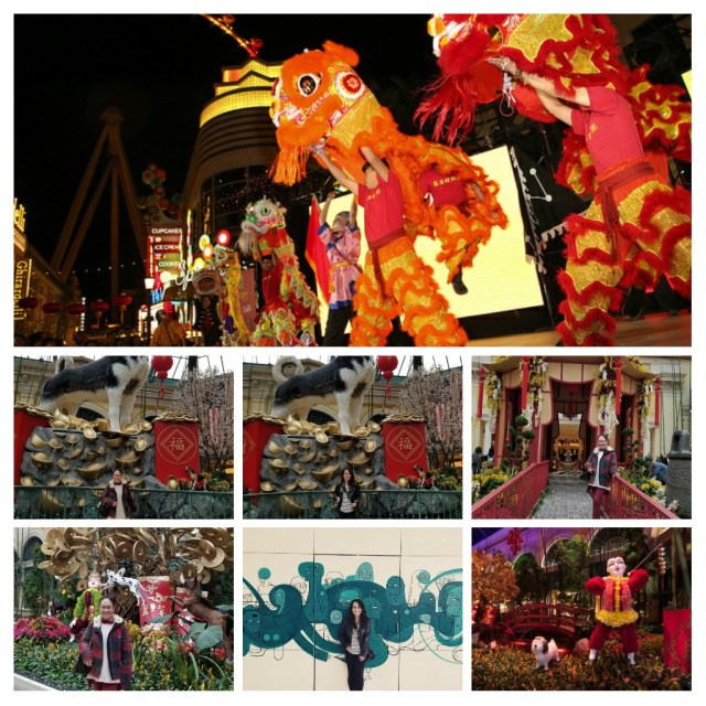 20180221_174656-COLLAGE