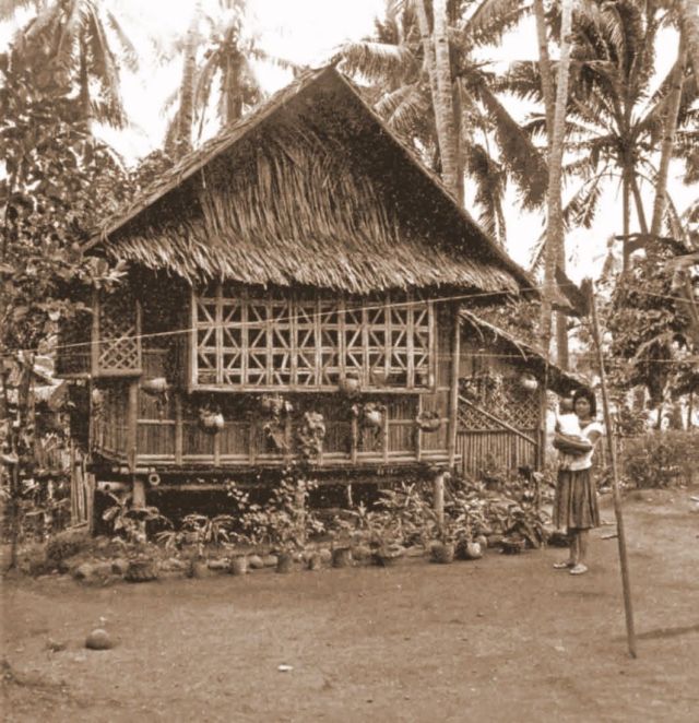 nipa hut
